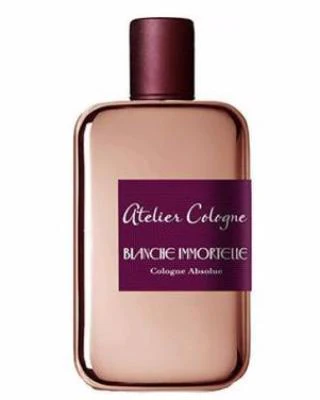 Blanche Immortelle