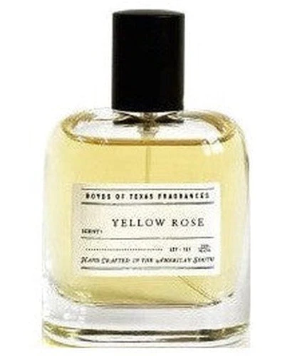 Yellow Rose