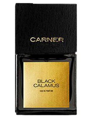 Black Calamus