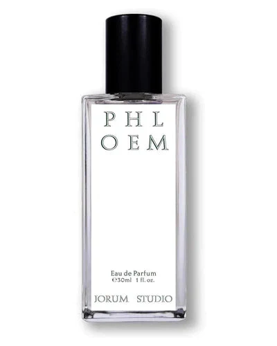 Phloem