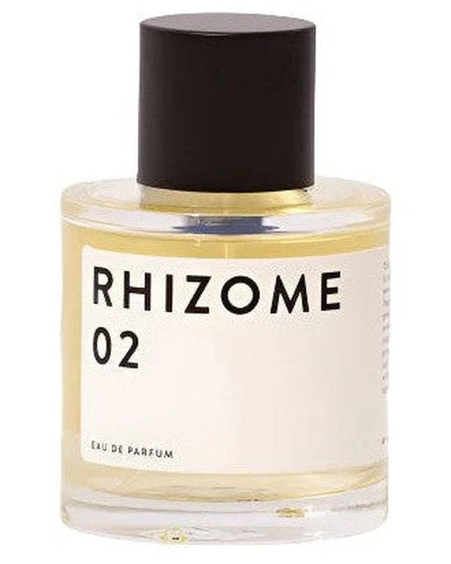 Rhizome 02