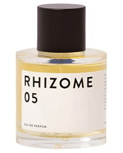 Rhizome 05
