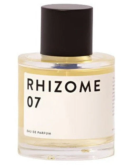 Rhizome 07
